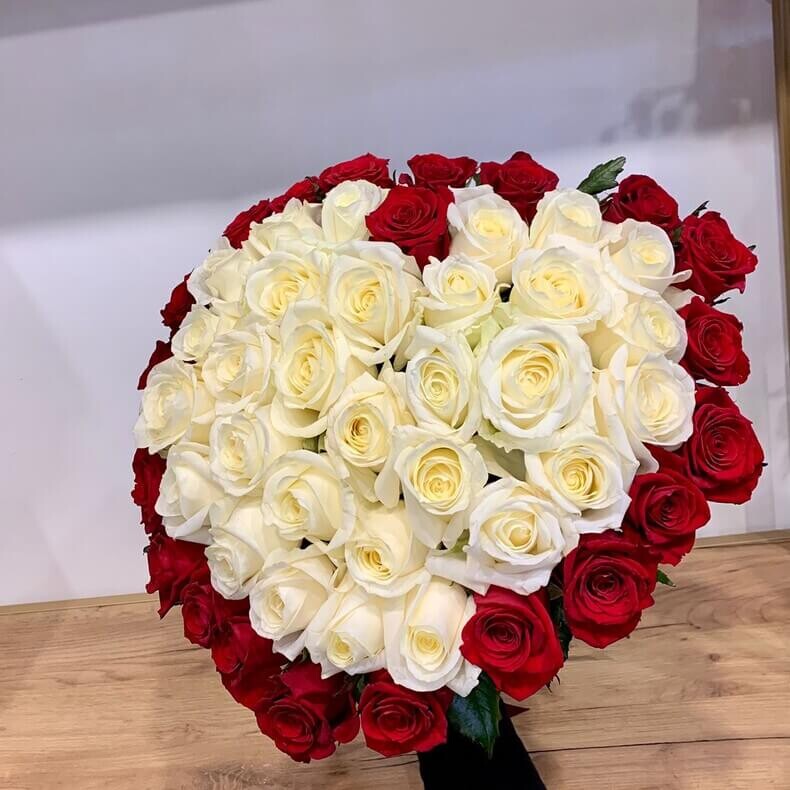 Букет  из 51 красно-белой розы 50 см